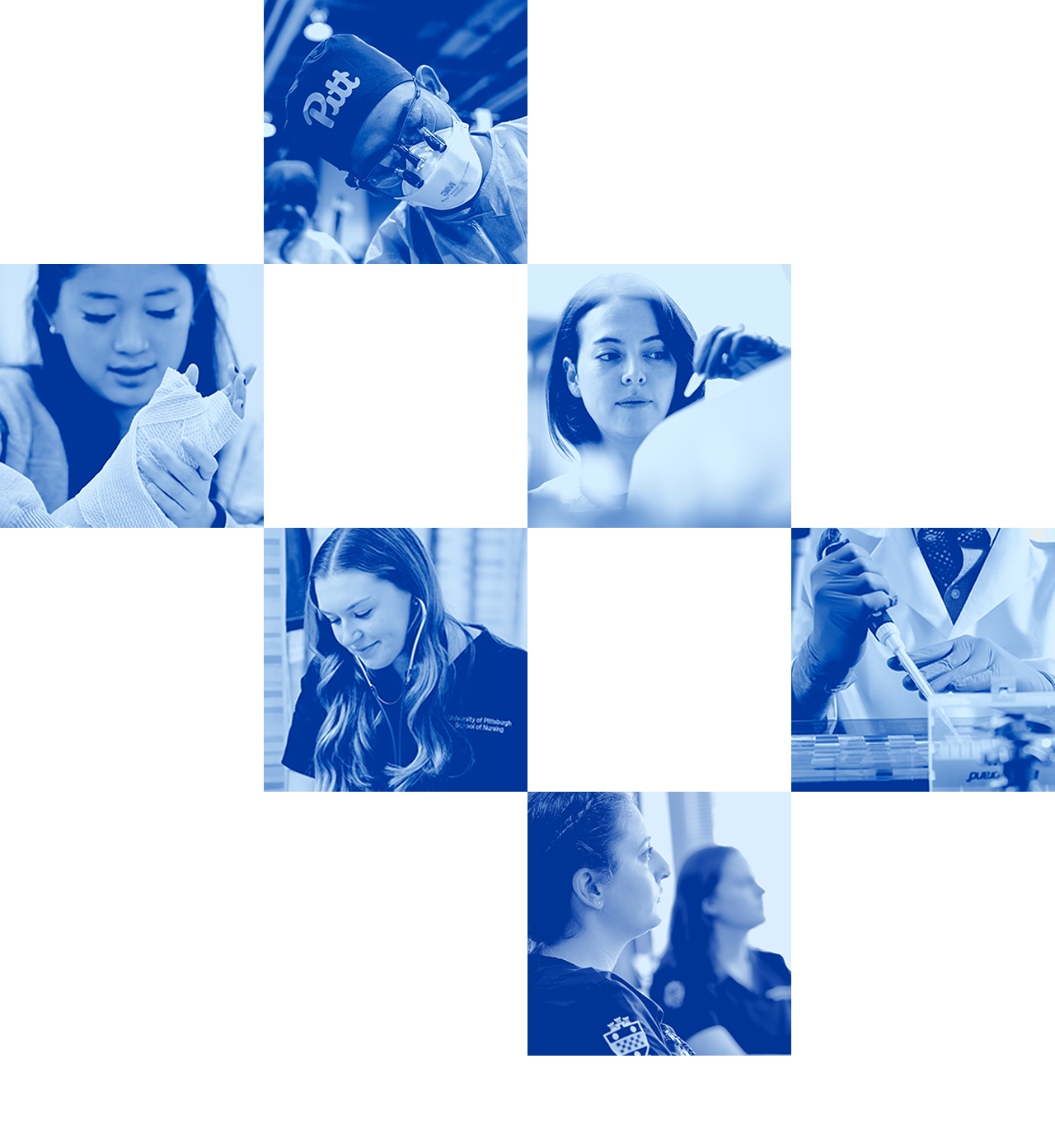 Health Sciences is six top schools working as one.